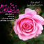 Profile picture of ‌سید ابوالقاسم حسینی نجفی مرگ بر آمریکا‌