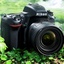 Profile picture of ‌دوربینی‌