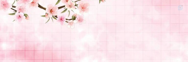 ‌علی محرابی‌'s header picture