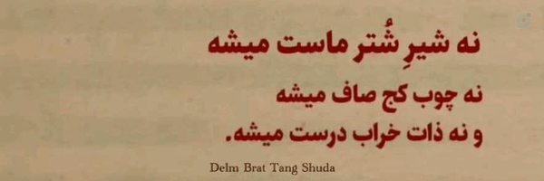 ‌عرفان محمدزاده‌'s header picture