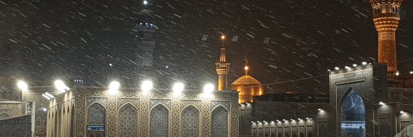 ‌Irani🇮🇷‌'s header picture
