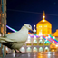 Profile picture of ‌فاطیما‌