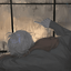 Profile picture of ‌-ᴍᴏʜᴀᴍᴀᴅ‌