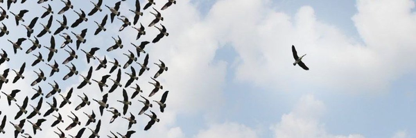 ‌عباس طاهری‌'s header picture