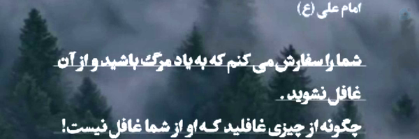 ‌صیّاد🇮🇷‌'s header picture