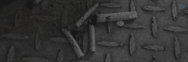‌Boura‌'s header picture