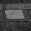 دنیا‌روجدی‌گرفتیا