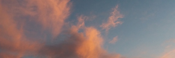 ‌توکا پرند‌'s header picture