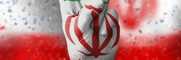 ‌سید موسوی‌'s header picture