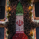 Profile picture of ‌نیلوفـرِآبـی‌