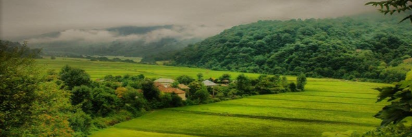 ‌سید حسین میرجعفری‌'s header picture