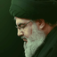 Profile picture of ‌سید حسن نصرالله 💚‌