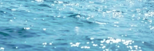 ‌soltan mirza‌'s header picture