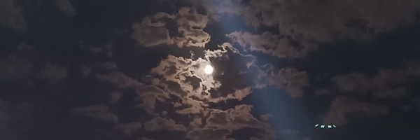 ‌محمد مهدی رضاپور‌'s header picture