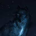 Profile picture of ‌میثم‌