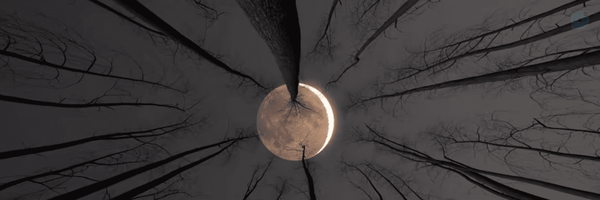 ‌زنِ سیِّدُ صالحم‌'s header picture