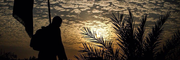 ‌رضا تقی پور‌'s header picture