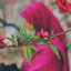 Profile picture of ‌🪆زهرا بانواَم‌