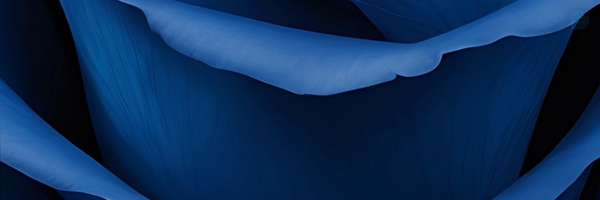 ‌سیِّد و صالحم‌'s header picture
