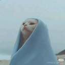 Profile picture of ‌مُشَعْشَعْ 🎀‌