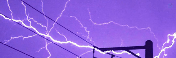 ‌zahra‌'s header picture