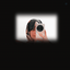 Profile picture of ‌𝓕𝓪𝓽𝓮𝓶𝓮𝓱¹³⁵ .‌