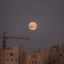 Profile picture of ‌گیسو‌