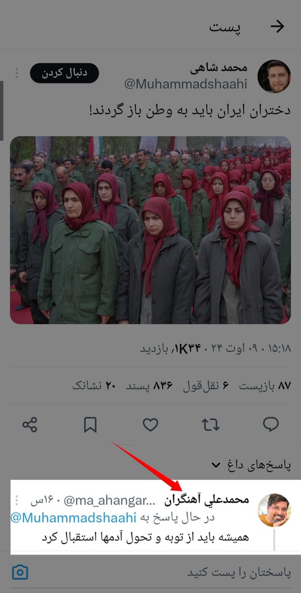 وقتی فهم حکم کیمیا دارد