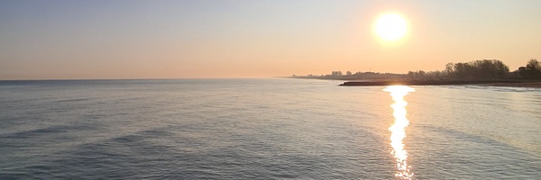 ‌جواد نوروزی‌'s header picture