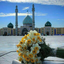 Profile picture of ‌Masoome Naghavi‌