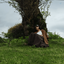 Profile picture of ‌Fateme Najafi‌