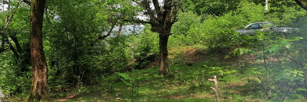 ‌کیوان فرد‌'s header picture