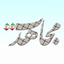 Profile picture of ‌مجاهدت‌