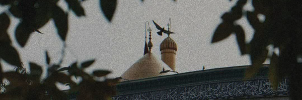 ‌Zeraati 🇮🇷🇵🇸‌'s header picture