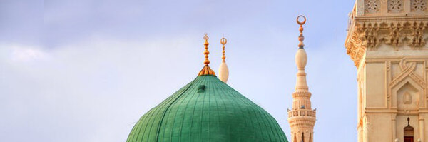 ‌پلاک۸۲‌'s header picture