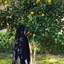 Profile picture of ‌ریحانه‌
