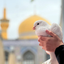 Profile picture of ‌سدنا...!‌