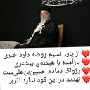 Profile picture of ‌علیرضا موحدی راد‌