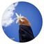 Profile picture of ‌ریحانه علی محمدی‌
