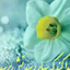 Profile picture of ‌تهرانی‌