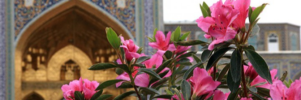 ‌قائم‌'s header picture