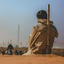 Profile picture of ‌نیکان ملکی‌