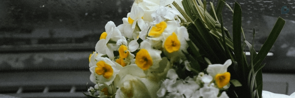 ‌محمدحسن عبدلی‌'s header picture