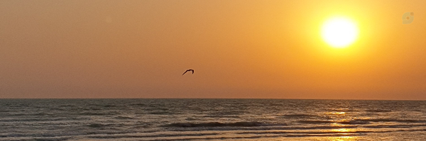 ‌عبدالجليل كمالي‌'s header picture