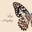 Profile picture of ‌معصومه P‌