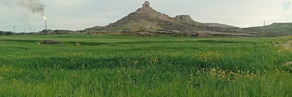 ‌Mohammad شیعه‌'s header picture