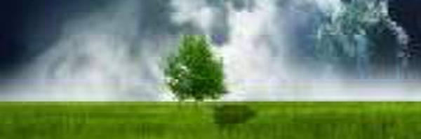‌ی رضائی‌'s header picture