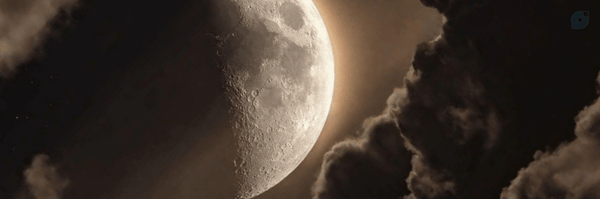 ‌ضحا شهرآبادی‌'s header picture