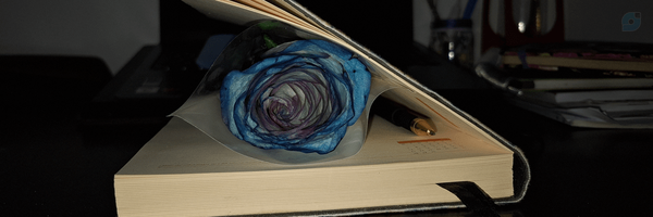 ‌زه🍃را‌'s header picture