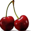 Profile picture of ‌گیلاس 🍒‌